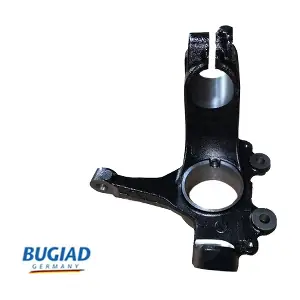 BSP25271 BUGIAD