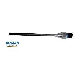 BOL15988 BUGIAD