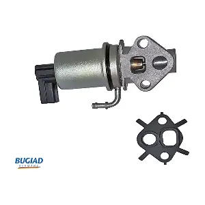 BGR13001 BUGIAD