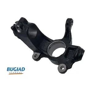 BSP25309 BUGIAD