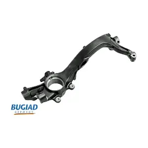 BSP25129 BUGIAD