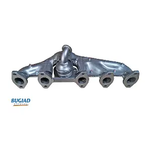 BSP25441 BUGIAD