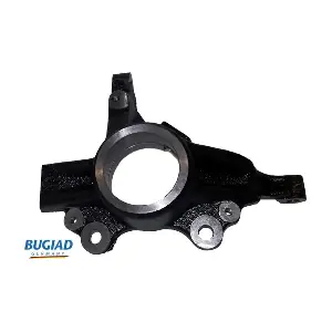 BSP25167 BUGIAD