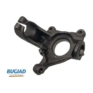 BSP25323 BUGIAD