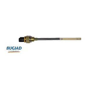 BOL15978 BUGIAD
