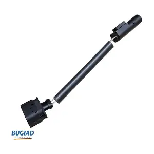 BCS52100 BUGIAD