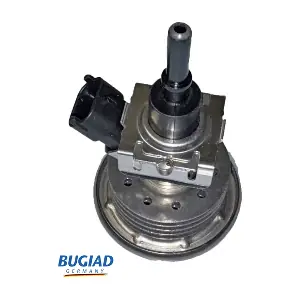 BAB71514 BUGIAD