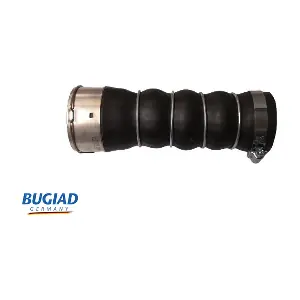 82437 BUGIAD