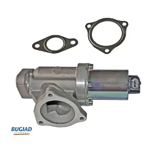 BGR13053 BUGIAD