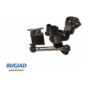 BXS19621 BUGIAD