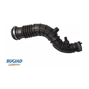 BIH18135 BUGIAD