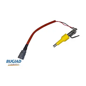 BIU40309 BUGIAD