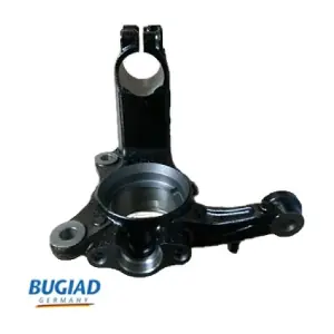 BSP24250 BUGIAD