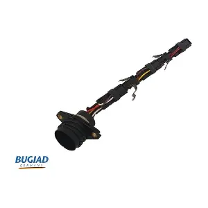BCS52106 BUGIAD