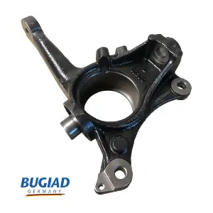 BSP25566 BUGIAD