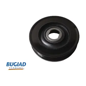 BCP16702 BUGIAD