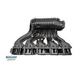 BIM17005 BUGIAD