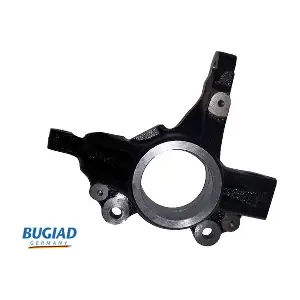BSP25166 BUGIAD