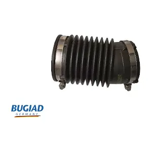 BIH18133 BUGIAD