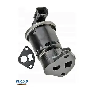 BGR13067 BUGIAD