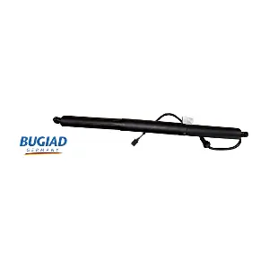 BRD50786 BUGIAD