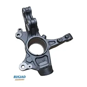 BSP25472 BUGIAD
