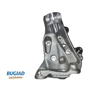 BSP25153 BUGIAD