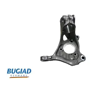 BSP25041 BUGIAD