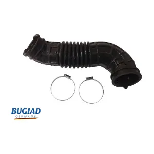 BIH18151 BUGIAD