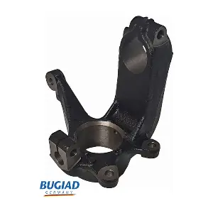 BSP25522 BUGIAD