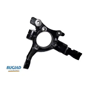 BSP25163 BUGIAD