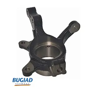 BSP25520 BUGIAD