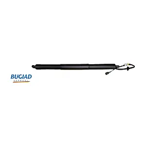 BRD50769 BUGIAD