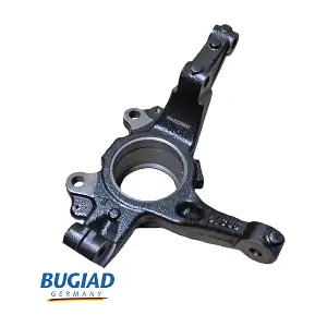 BSP25567 BUGIAD