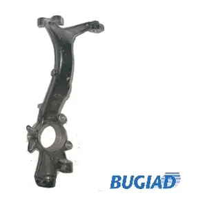 BSP20310 BUGIAD