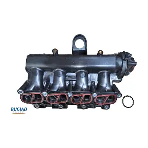 BIM17016 BUGIAD