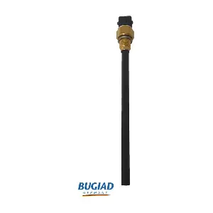 BOL15948 BUGIAD