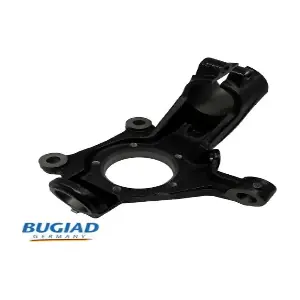 BSP25319 BUGIAD