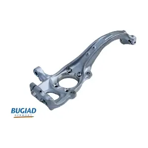 BSP25145 BUGIAD