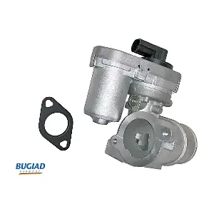 BGR13069 BUGIAD