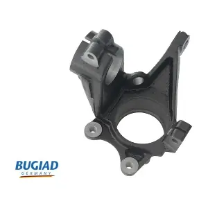 BSP25279 BUGIAD