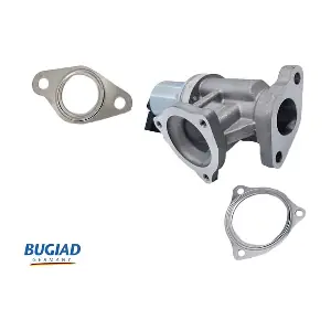 BGR13044 BUGIAD