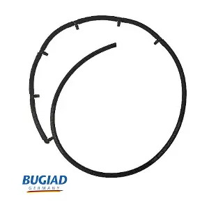 BFH18054 BUGIAD