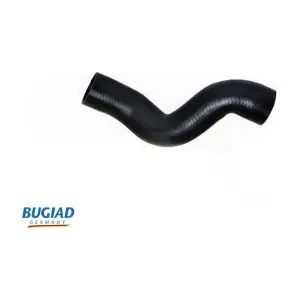 87618 BUGIAD
