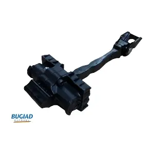 BDC12431 BUGIAD
