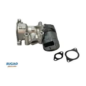 BGR13065 BUGIAD