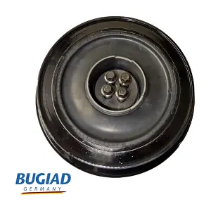 BCP16727 BUGIAD