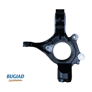 BSP25285 BUGIAD