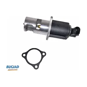 BGR13043 BUGIAD