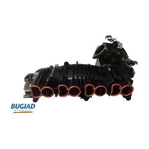 BUGIAD BIM17041